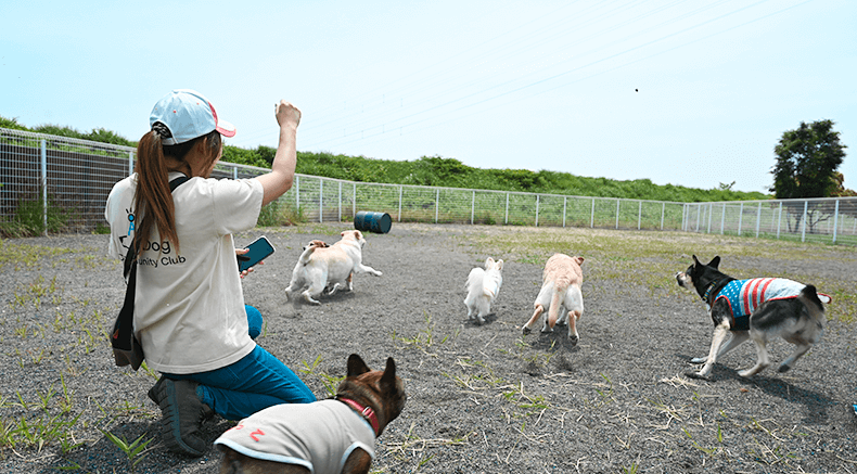 のびのびと走り回れる300坪の運動広場