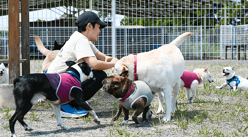 飼い主参加型イベントの開催で飼い主様同士の交流多数